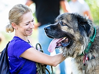 2019-08-11 Park Raszyński w Raszynie